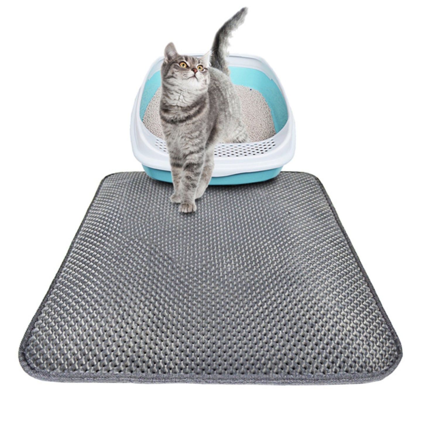 Double Layer Cat Litter Mat Trapping Pad for Clean Floors and Comfort