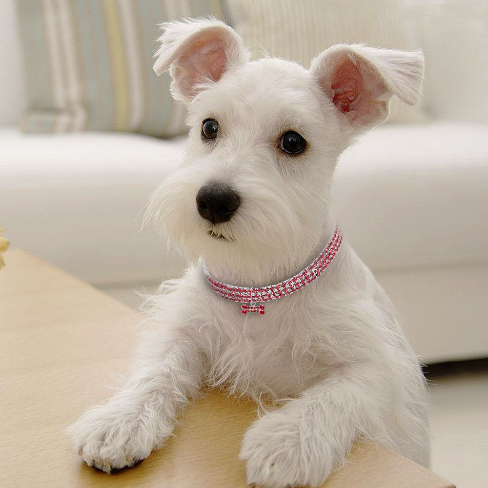 Bling Rhinestone Dog Collar Crystal Puppy Chihuahua Pet