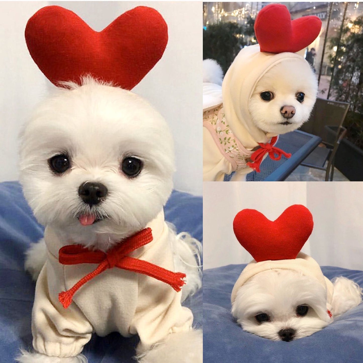 Cute Fruit Dog Clothes For Small Dogs Hoodies Winter Warm