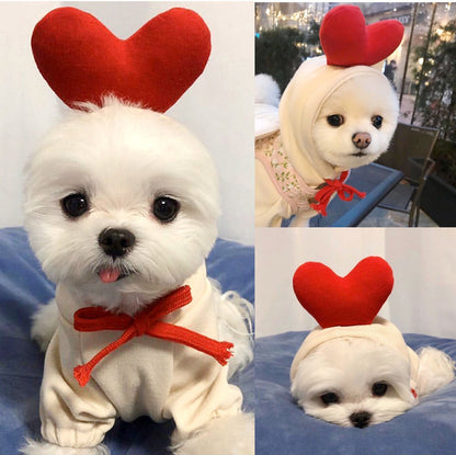 Cute Fruit Dog Clothes For Small Dogs Hoodies Winter Warm