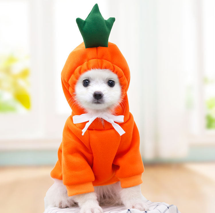 Cute Fruit Dog Clothes For Small Dogs Hoodies Winter Warm