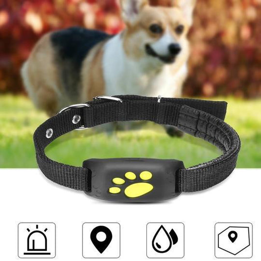 GPS Pet Tracker GPS Pet Tracker