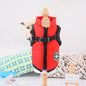 Waterproof Dog Clothes Winter Dog Coat With Harness Warm