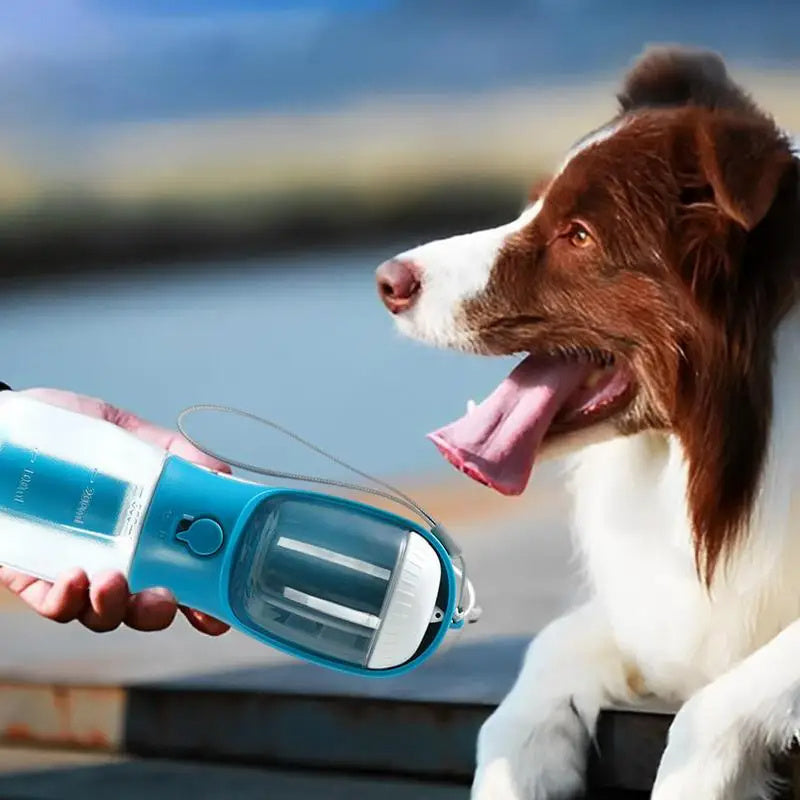 3-in-1 Dog Water Cup with Food Container and Portable Garbage Bag