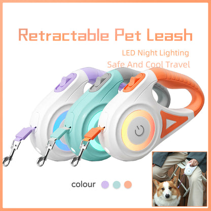 Dog Leash Retractable Leash And Dog Collar Spotlight